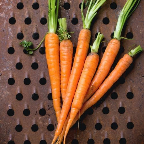 bundle-of-carrots