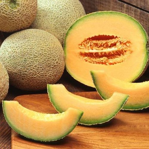 hgic_veg_crop_melon